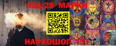 прущие крисы Кингисепп