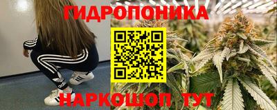 прущие крисы Кингисепп
