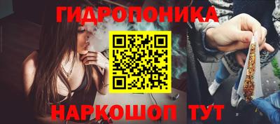 прущие крисы Кингисепп