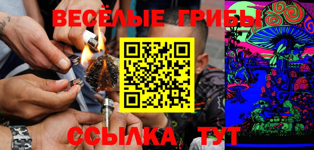 Курчалой  Галлюциногенные грибы MAGIC MUSHROOMS  Вход с VPN 